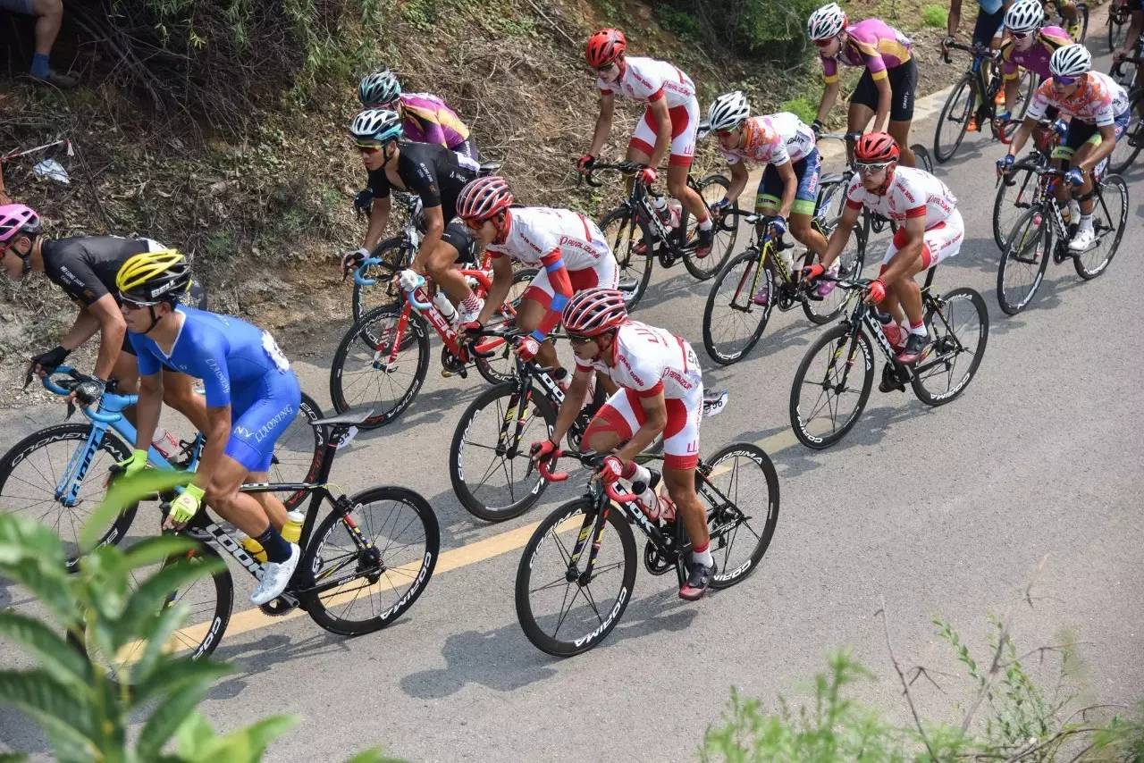 赵京彪山东队视频,赵京彪山东队夺冠视频