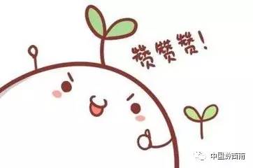 中国最厉害的前十名中学,兴义八中是全国重点中学嘛