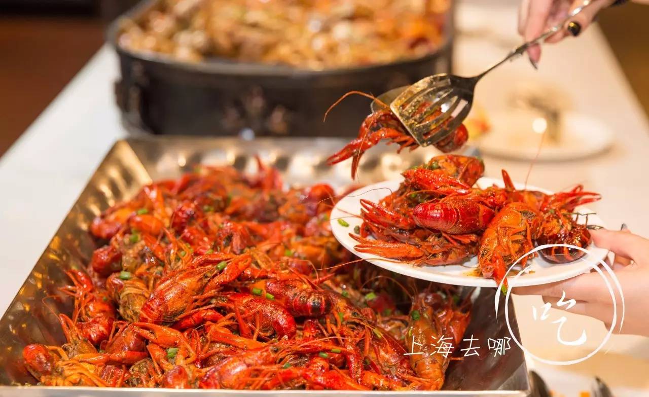 长宁龙之梦官方通告,长宁区龙之梦今天人多吗