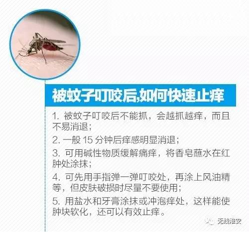 为什么是a型血但是非常招蚊子,b型血为什么特招蚊子