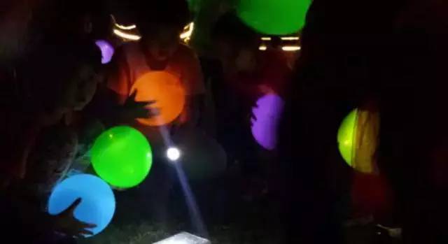 百亩荷塘美不胜收,千亩荷塘风景如画