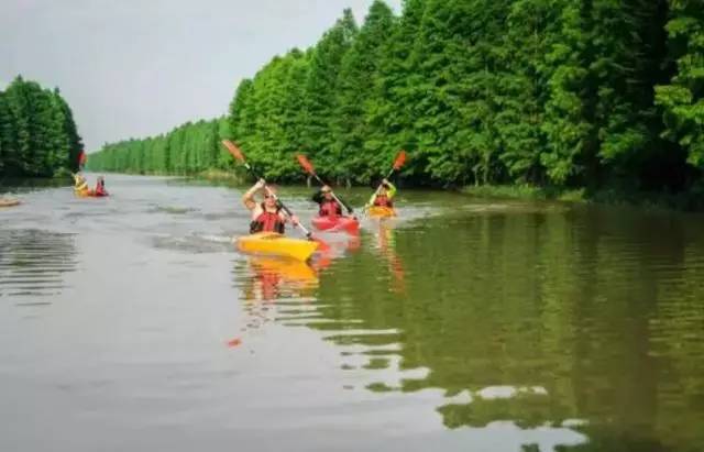 百亩荷塘美不胜收,千亩荷塘风景如画