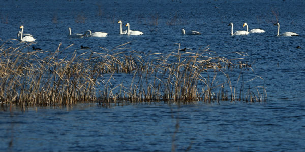 北京怀柔有避暑纳凉的好地方吗,密云怀柔避暑游玩的地方