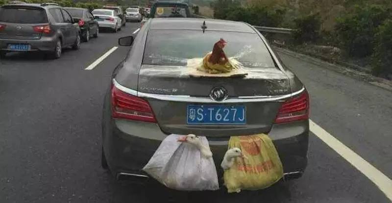 车顶加装平台违法吗,加装车顶纵杆要备案吗