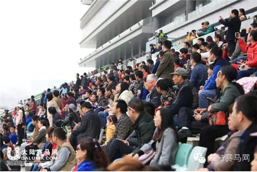 武汉赛马比赛时间表,武汉速度赛马公开赛入场时间