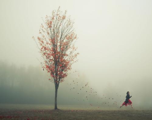 属猪十二星座运势分析,属猪人星座运势