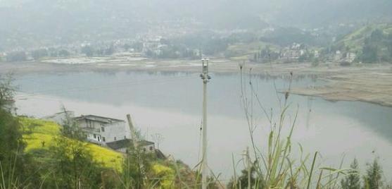 中华草龟与台湾草龟,中华草龟跟草龟有什么区别图