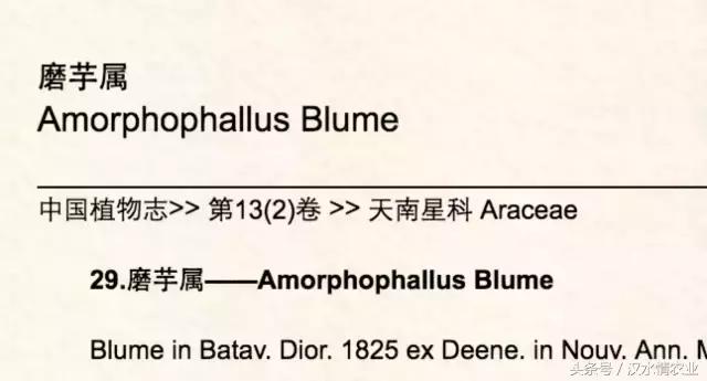 「富硒集市」到底是魔芋、磨芋、还是蘑芋？