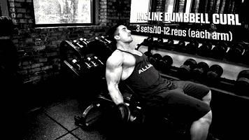 新手哑铃健身一周训练计划,新手健身适合什么样的计划