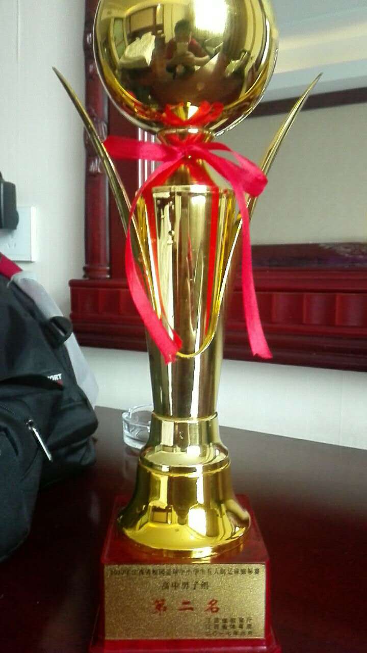 社会我李哥孩子们都爱率足球队获得全省亚军