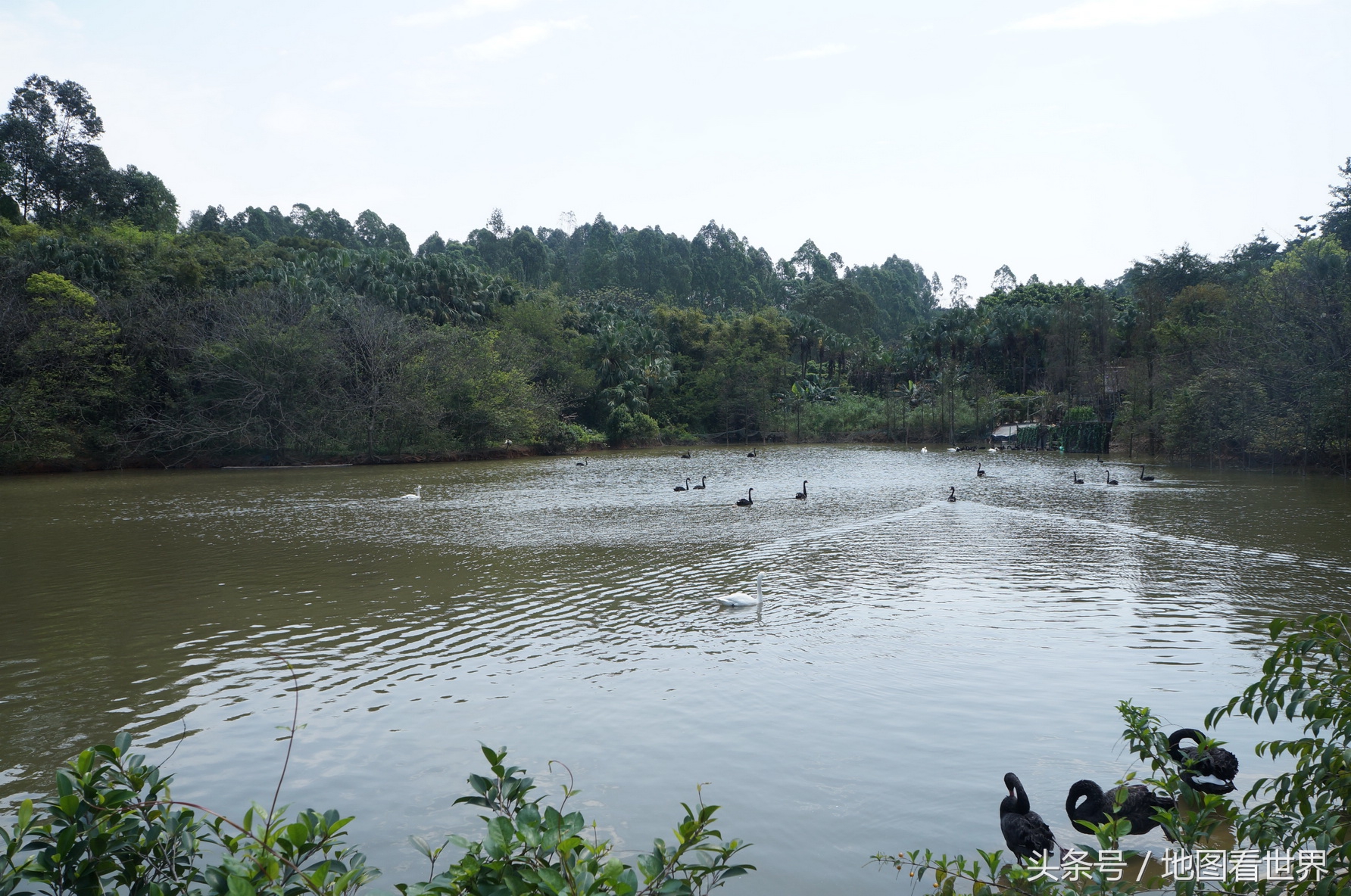 广州一站式旅游胜地,广州八号线坐地铁旅游景点推荐