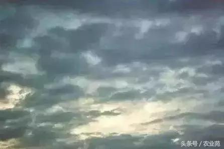 怎么根据云彩来判断天气,云彩识别天气图解