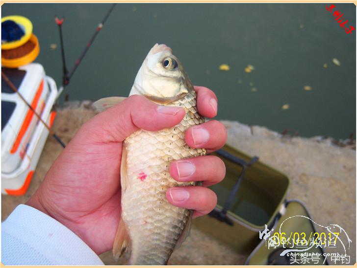 先分后合，爽钓半天