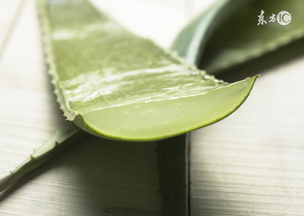 一些草本植物可以美容的图片 (可以美肤的植物有哪些)