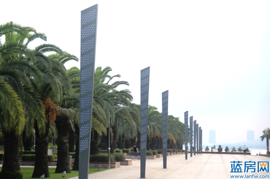 厦门海湾公园蓝眼泪最佳观赏时间,厦门看海滩哪里最好