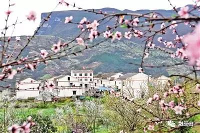 “走出去”“请进来”——重庆媒体深度聚焦巫山“两张牌”