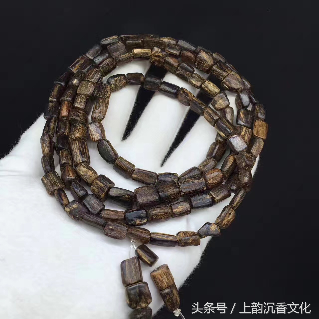 紫奇楠沉香的价格,广东奇楠沉香茶