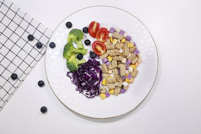 我们用米其林餐厅的调调，给狗粮做了一次整容手术