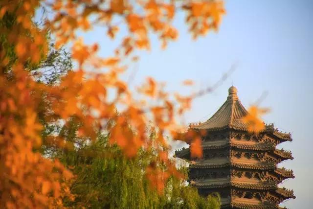 百年校训厚德载物完整视频,百年名校校训