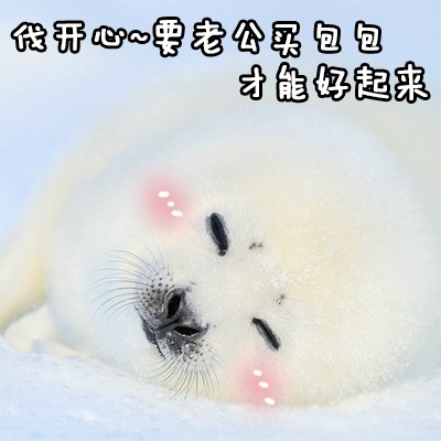 跟老公男朋友聊天专用微信QQ萌萌可爱带字表情包