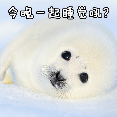 跟老公男朋友聊天专用微信QQ萌萌可爱带字表情包