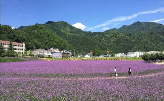 推荐秦岭避暑好去处,秦岭中的避暑胜地