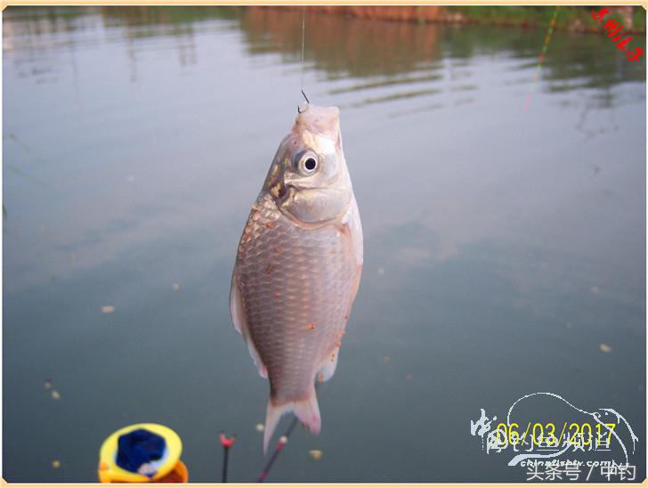 先分后合，爽钓半天