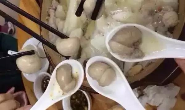 牛鞭猪肚鸡火锅,中山鸡子火锅