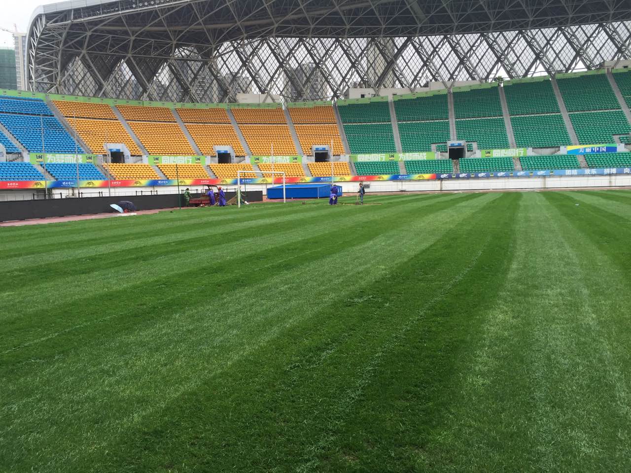 张学友演唱会破坏之王完整版,演唱会损伤草皮