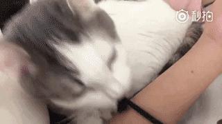 这样的叫床方式，有点一言难尽！