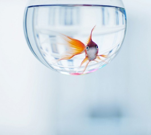 一个人很孤单该干什么呢,一个人很孤单做什么最合适