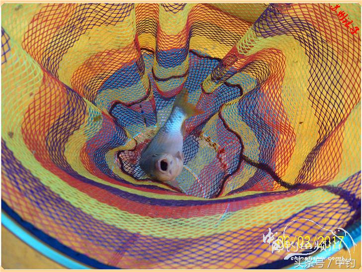 先分后合，爽钓半天