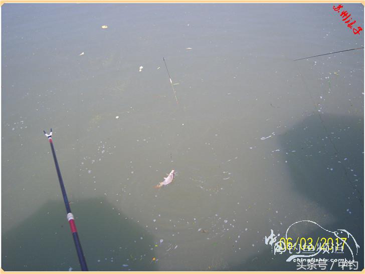 先分后合，爽钓半天