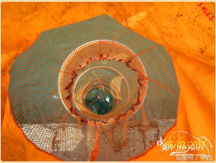 先分后合，爽钓半天