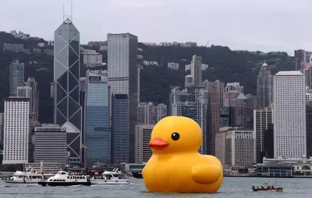 关于香港的小知识,关于香港的知识10个字