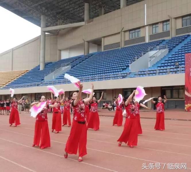 今天临泉体育场视频,临泉体育场拳击队员