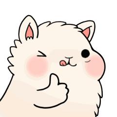 牛鞭猪肚鸡火锅,中山鸡子火锅