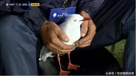 永恒的经典完美诠释了足球的魅力,足球赛场上那些感动到窒息的瞬间