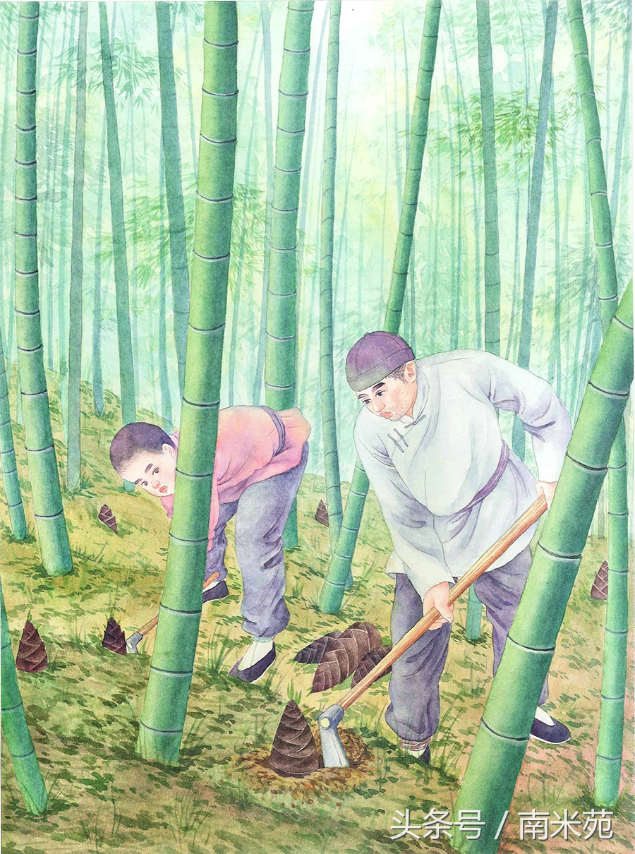 笋干经过这样处理烧肉才会好吃,浙江笋干梅干菜烧肉的家常做法