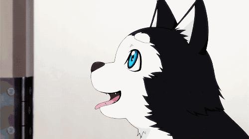 人模狗样和狗模人样的区别,人模人样和人模狗样有区别吗