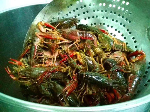 湘菜加盟连锁排行,湘西部落特点湘菜