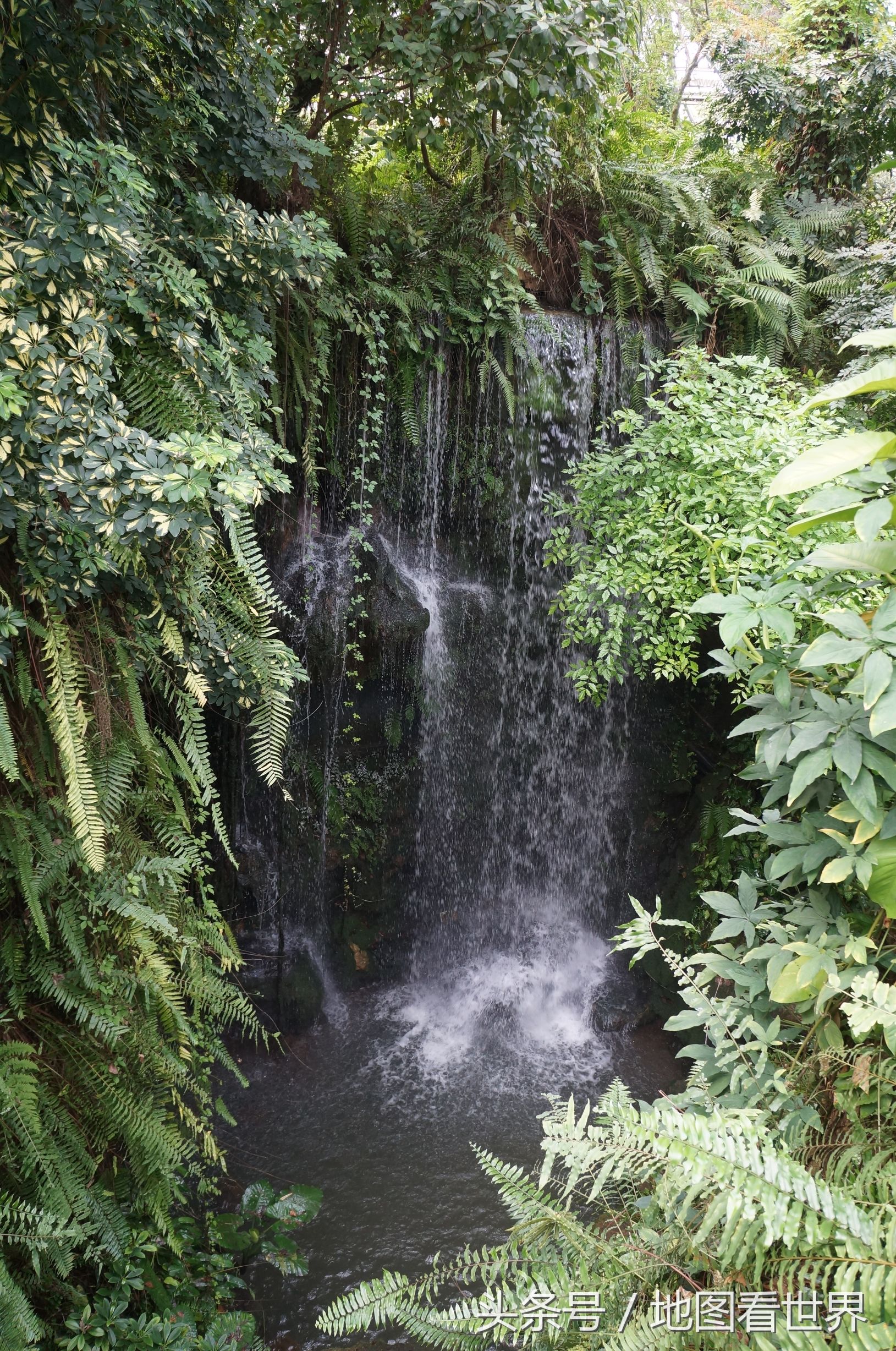 广州一站式旅游胜地,广州八号线坐地铁旅游景点推荐