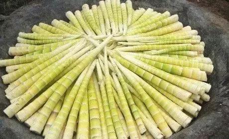 遵义旅游攻略美食特产带走,乐享遵义