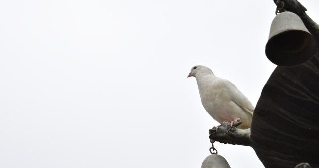 今年下半年养什么东西行情最好,钱景养殖方法