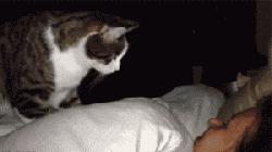 这样的叫床方式，有点一言难尽！