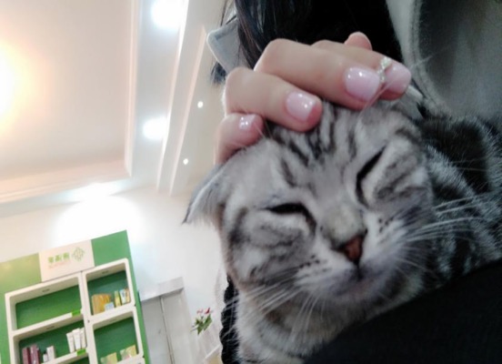 她们长这么好看，还不忘这点小心机