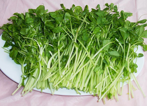 十大营养最好的蔬菜,绿叶蔬菜怎么烹饪营养最好