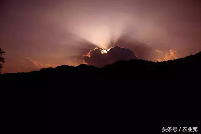 怎么根据云彩来判断天气,云彩识别天气图解