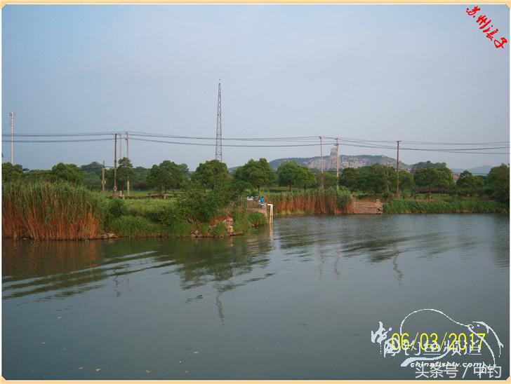 先分后合，爽钓半天