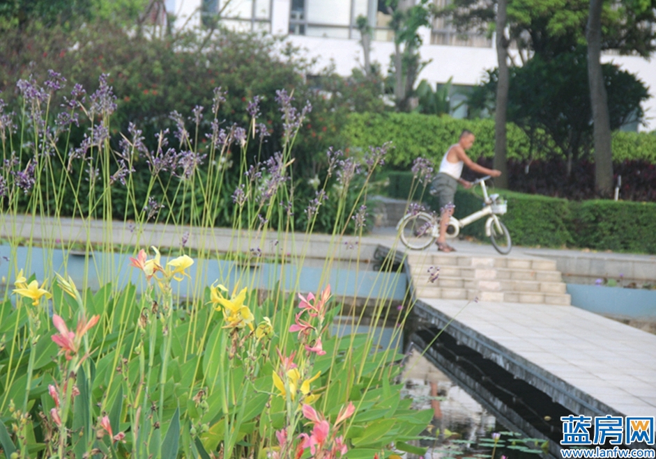 厦门海湾公园蓝眼泪最佳观赏时间,厦门看海滩哪里最好